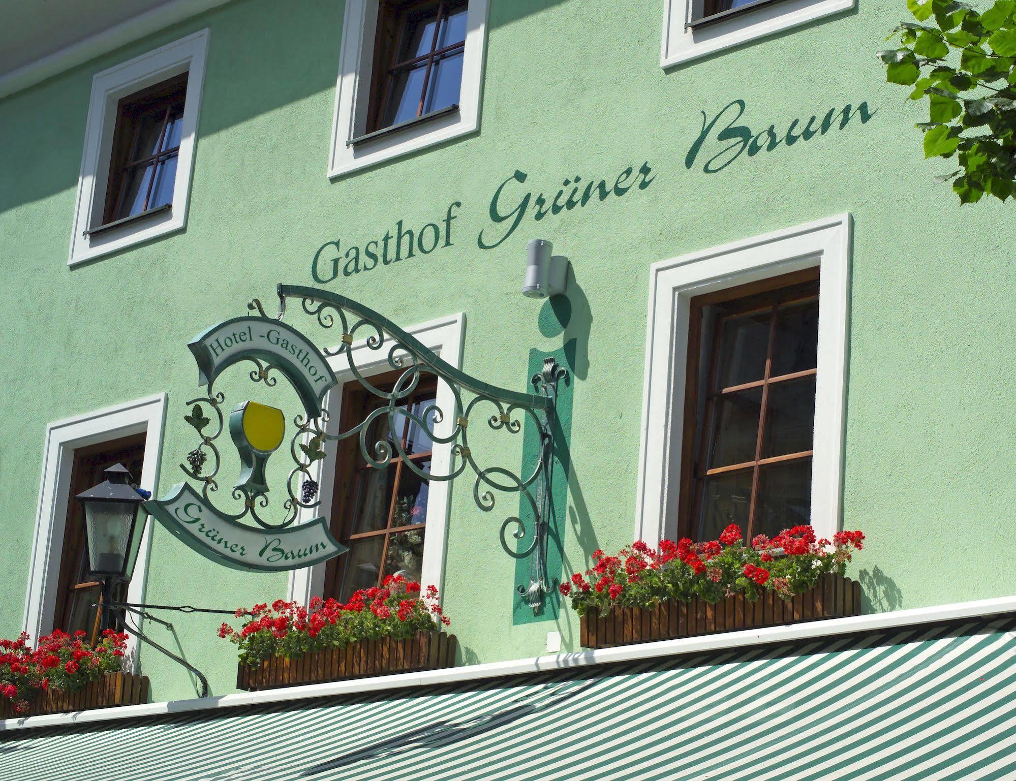 Hotel Gruener Baum Цел ам Зее Екстериор снимка